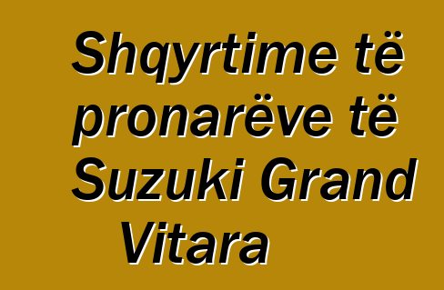 Shqyrtime të pronarëve të Suzuki Grand Vitara