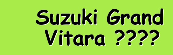 Suzuki Grand Vitara 车主评论