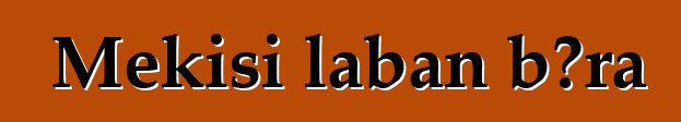 Mɛkisi laban bɔra