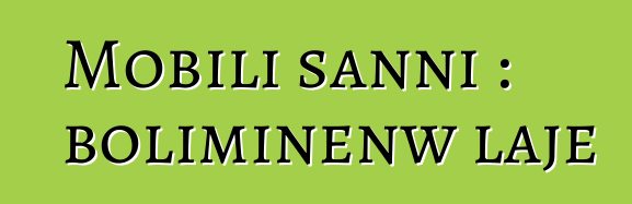 Mobili sanni : boliminɛnw lajɛ