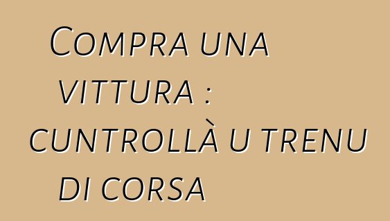 Compra una vittura : cuntrollà u trenu di corsa
