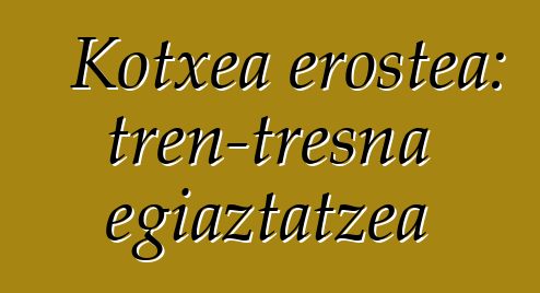 Kotxea erostea: tren-tresna egiaztatzea
