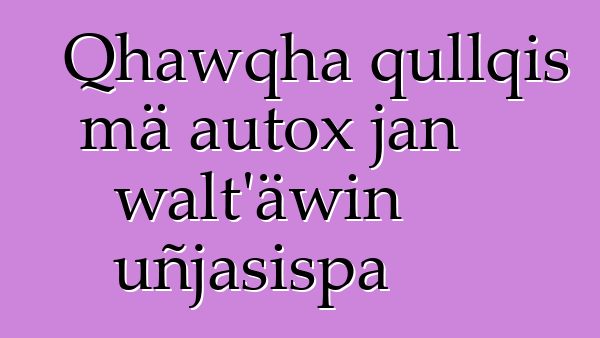 Qhawqha qullqis mä autox jan walt’äwin uñjasispa