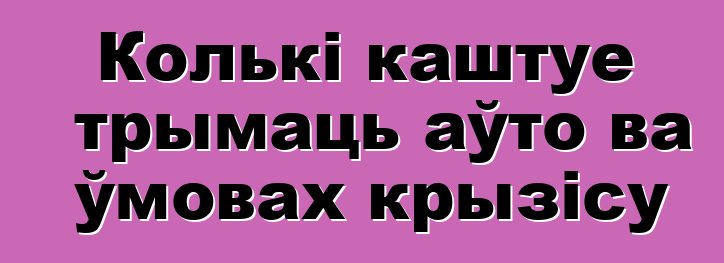 Колькі каштуе трымаць аўто ва ўмовах крызісу