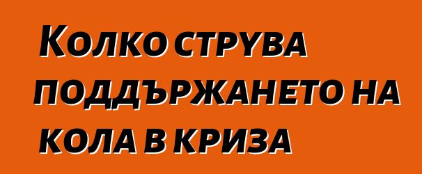 Колко струва поддържането на кола в криза