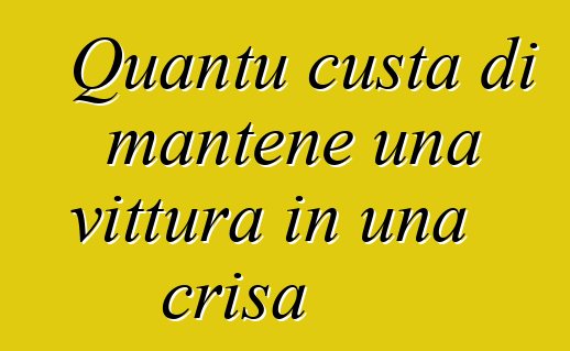 Quantu custa di mantene una vittura in una crisa