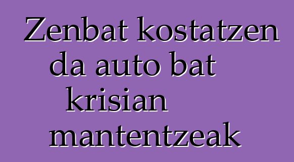Zenbat kostatzen da auto bat krisian mantentzeak