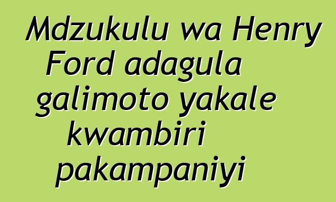 Mdzukulu wa Henry Ford adagula galimoto yakale kwambiri pakampaniyi