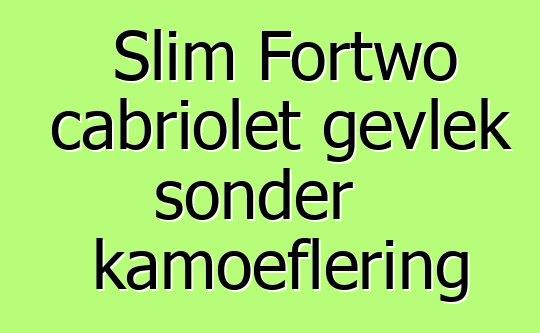 Slim Fortwo cabriolet gevlek sonder kamoeflering