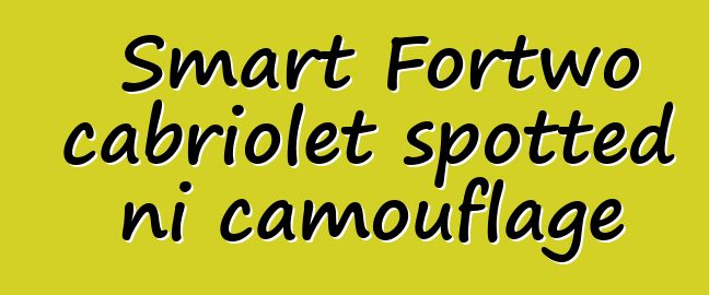 Smart Fortwo cabriolet spotted ni camouflage