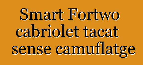 Smart Fortwo cabriolet tacat sense camuflatge