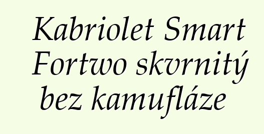 Kabriolet Smart Fortwo skvrnitý bez kamufláže