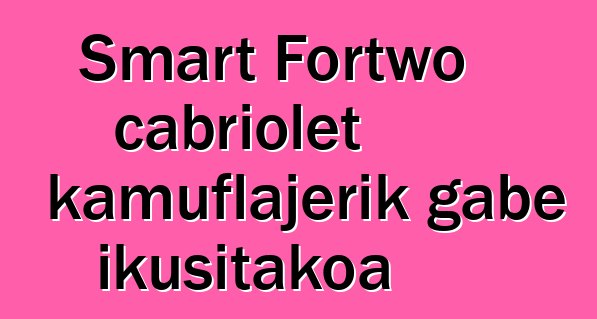 Smart Fortwo cabriolet kamuflajerik gabe ikusitakoa
