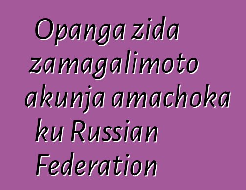 Opanga zida zamagalimoto akunja amachoka ku Russian Federation