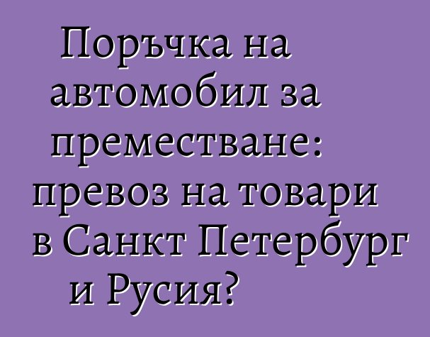 Поръчка на автомобил за преместване: превоз на товари в Санкт Петербург и Русия?