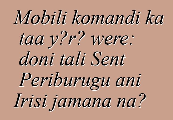 Mobili komandi ka taa yɔrɔ wɛrɛ: doni tali Sent Pɛriburugu ani Irisi jamana na?
