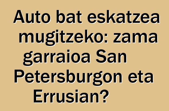 Auto bat eskatzea mugitzeko: zama garraioa San Petersburgon eta Errusian?
