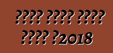 ባንዲራ ሲትሮን በዲኤስ ብራንድ በ2018