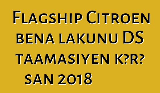 Flagship Citroen bɛna lakunu DS taamasiyɛn kɔrɔ san 2018