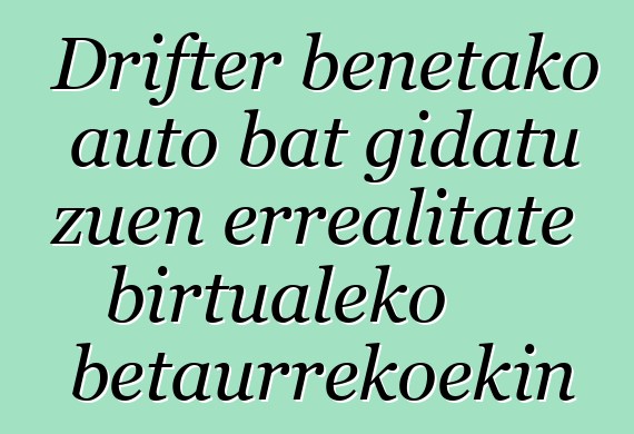 Drifter benetako auto bat gidatu zuen errealitate birtualeko betaurrekoekin