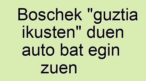 Boschek "guztia ikusten" duen auto bat egin zuen
