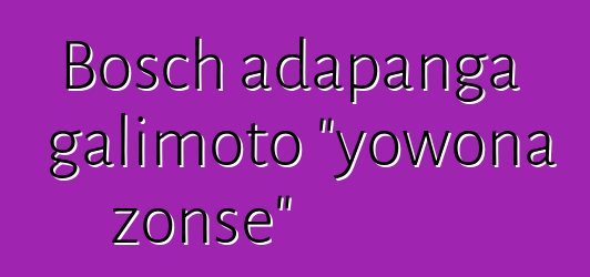 Bosch adapanga galimoto "yowona zonse"