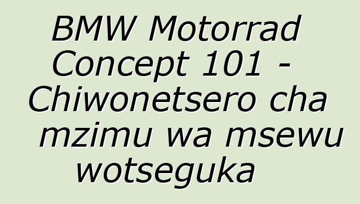 BMW Motorrad Concept 101 - Chiwonetsero cha mzimu wa msewu wotseguka