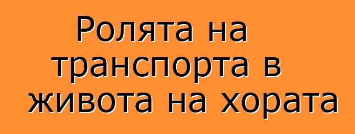 Ролята на транспорта в живота на хората