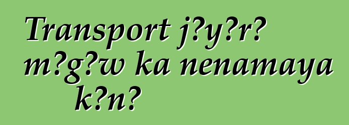 Transport jɔyɔrɔ mɔgɔw ka ɲɛnamaya kɔnɔ