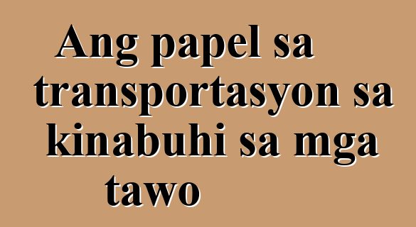 Ang papel sa transportasyon sa kinabuhi sa mga tawo