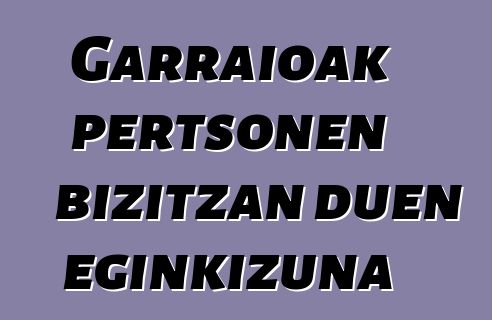 Garraioak pertsonen bizitzan duen eginkizuna