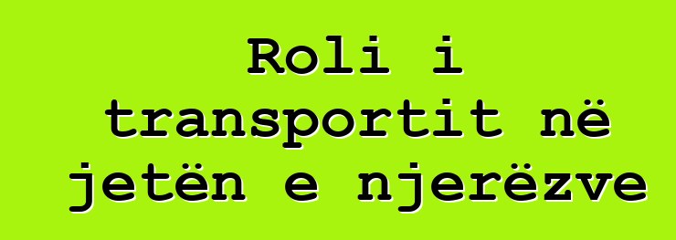 Roli i transportit në jetën e njerëzve