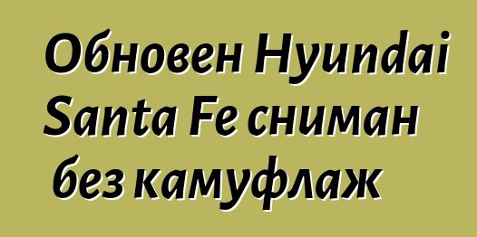 Обновен Hyundai Santa Fe сниман без камуфлаж