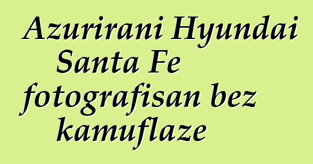 Ažurirani Hyundai Santa Fe fotografisan bez kamuflaže