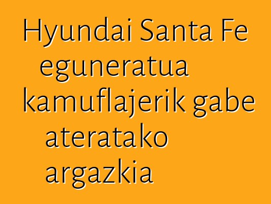 Hyundai Santa Fe eguneratua kamuflajerik gabe ateratako argazkia