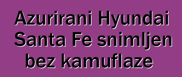 Ažurirani Hyundai Santa Fe snimljen bez kamuflaže