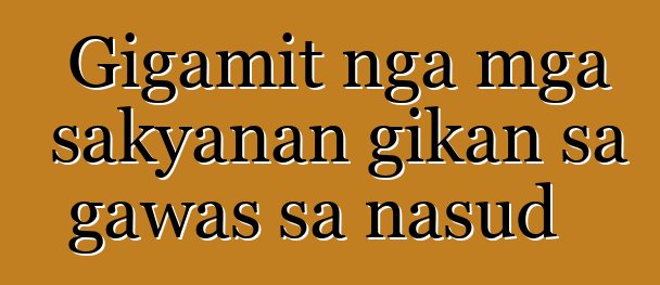 Gigamit nga mga sakyanan gikan sa gawas sa nasud
