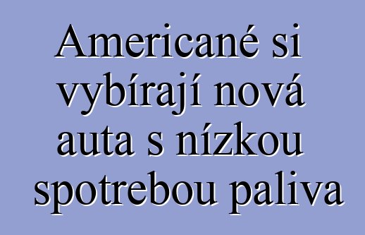 Američané si vybírají nová auta s nízkou spotřebou paliva
