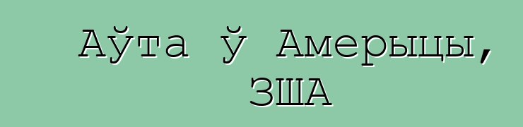 Аўта ў Амерыцы, ЗША