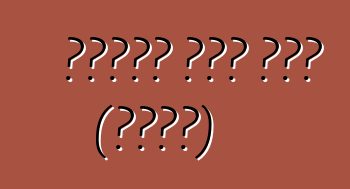 ማንሃይም አውቶ ጨረታ (አሜሪካ)