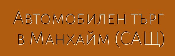 Автомобилен търг в Манхайм (САЩ)