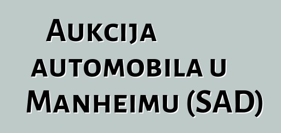 Aukcija automobila u Manheimu (SAD)