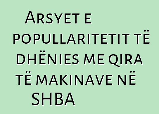 Arsyet e popullaritetit të dhënies me qira të makinave në SHBA