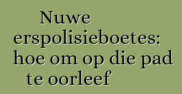 Nuwe verkeerspolisieboetes: hoe om op die pad te oorleef