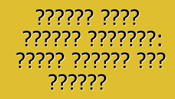 غرامات شرطة المرور الجديدة: كيفية النجاة على الطريق