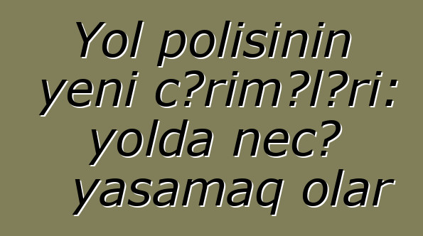 Yol polisinin yeni cərimələri: yolda necə yaşamaq olar