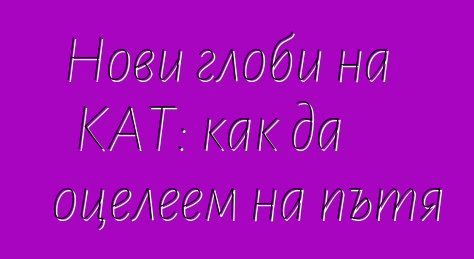 Нови глоби на КАТ: как да оцелеем на пътя