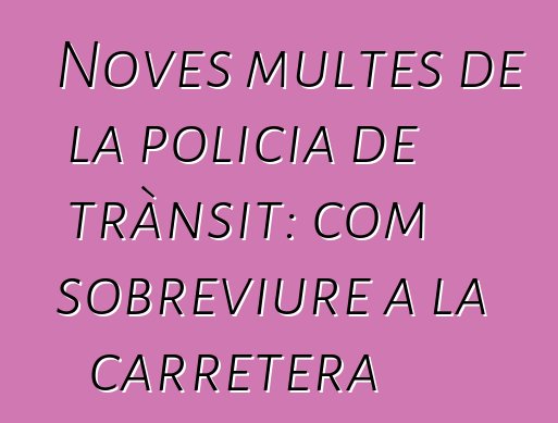 Noves multes de la policia de trànsit: com sobreviure a la carretera