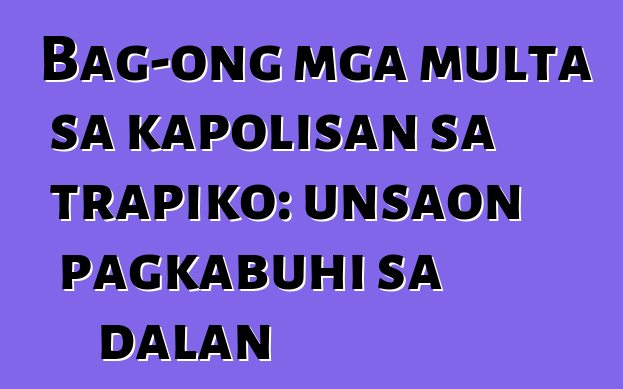 Bag-ong mga multa sa kapolisan sa trapiko: unsaon pagkabuhi sa dalan