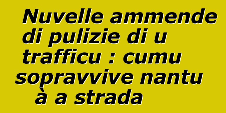 Nuvelle ammende di pulizie di u trafficu : cumu sopravvive nantu à a strada